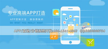 app軟件報價 廠家