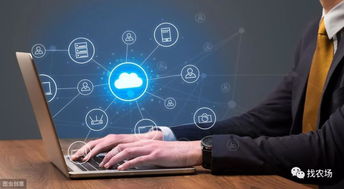 深度解讀 大數據在農業(yè)領域的具體應用有哪些