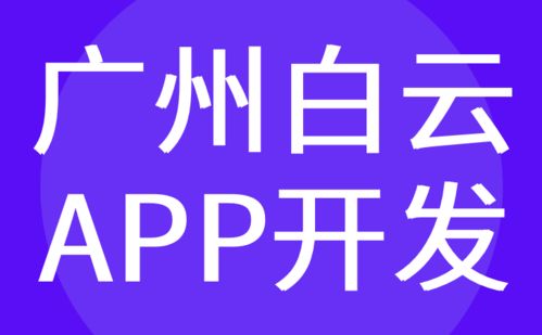 廣州白云區(qū)APP開發(fā)與軟件定制外包——紅匣子科技的專業(yè)服務(wù)